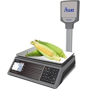 ACLAS Price Scale with Pole 30kg 2g
