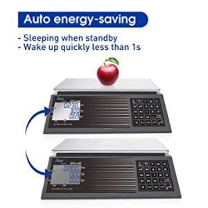 ACLAS Price Scale with Pole 30kg 2g